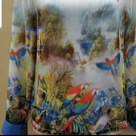 Beautiful sheer blouse size S - Picture 5 of 6